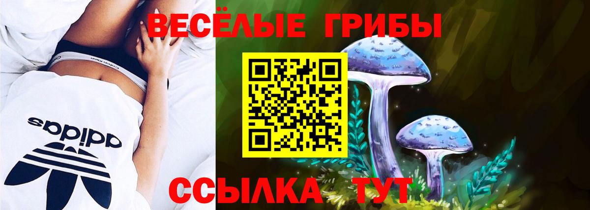 Галлюциногенные грибы MAGIC MUSHROOMS Волжск